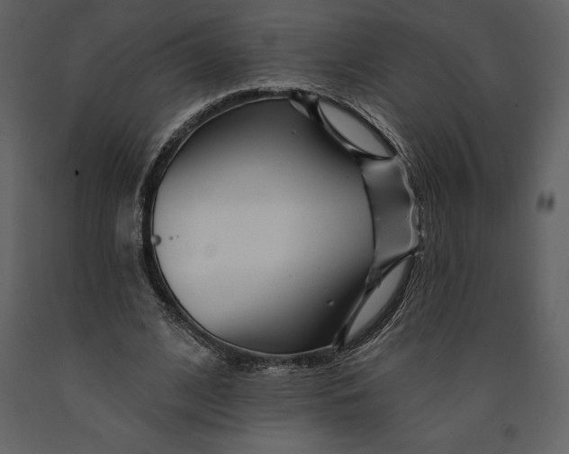 X0000090970584200708241317