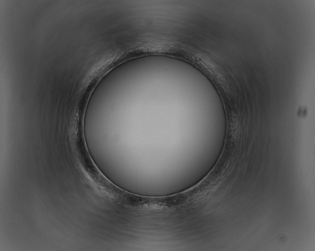 X0000090970586200708241317