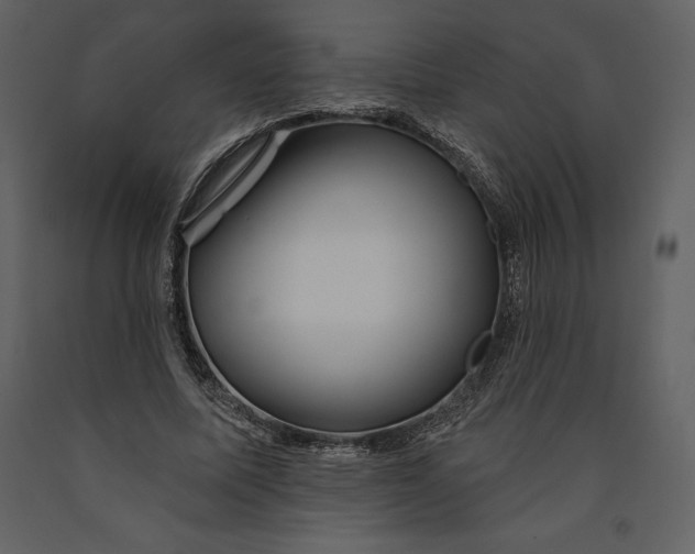 X0000090970587200708241317