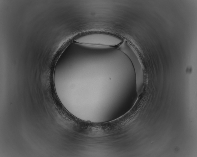 X0000090970588200708241317