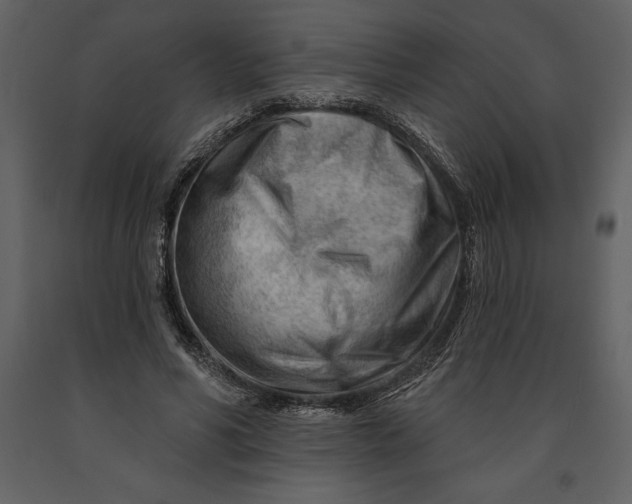 X0000090970590200708241317