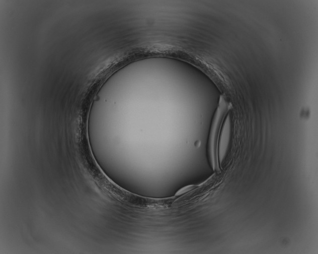 X0000090970591200708241317