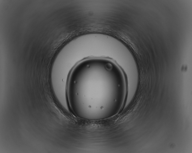 X0000090970593200708241317