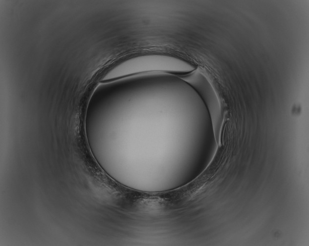 X0000090970595200708241317