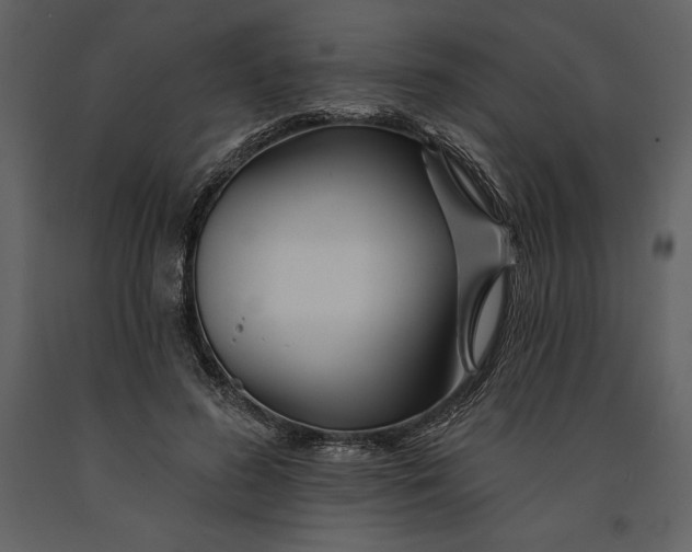 X0000090970596200708241317