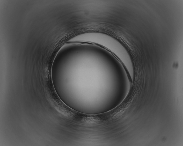 X0000090970597200708241317