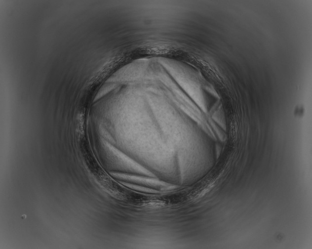 X0000090970598200708241317