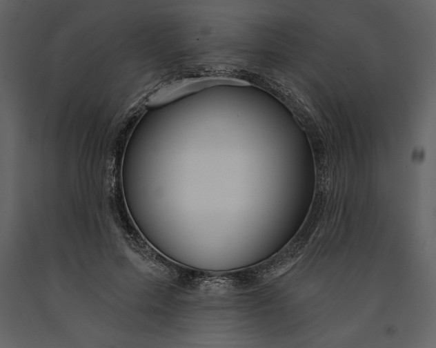 X0000090970599200708241317