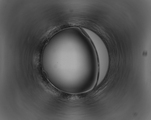 X0000090970600200708241317