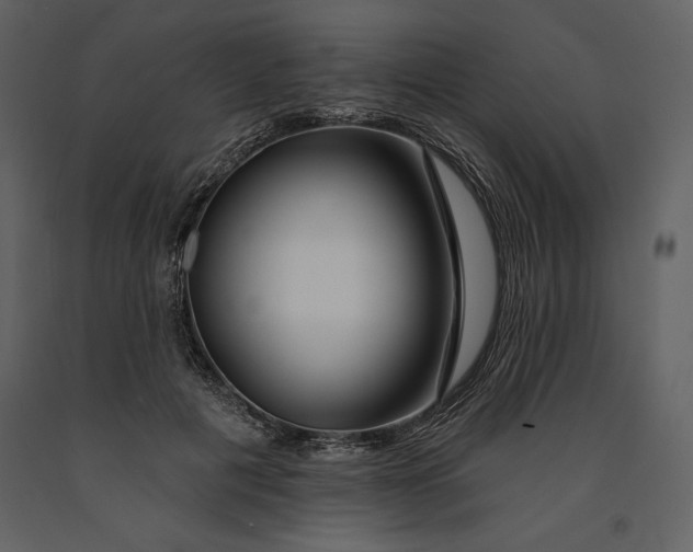 X0000090970601200708241317