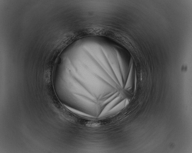 X0000090970602200708241317