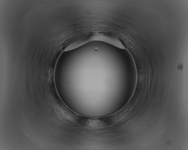 X0000090970605200708241317