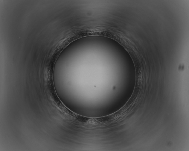 X0000090970608200708241317