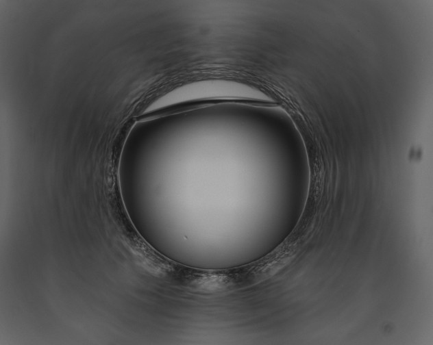 X0000090970609200708241317