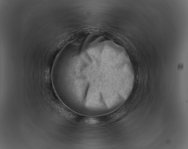 X0000090970610200708241317