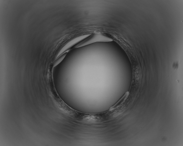 X0000090970611200708241317