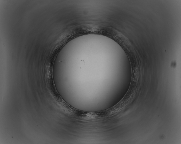 X0000090970612200708241317