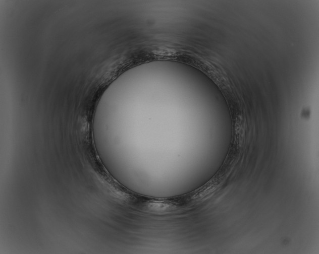 X0000090970614200708241317