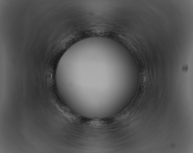 X0000090970615200708241317