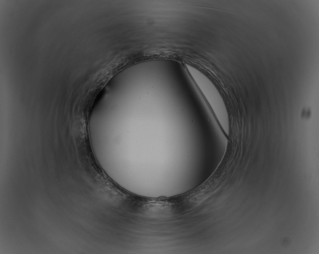 X0000090970617200708241317