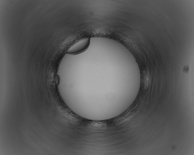 X0000090970619200708241317