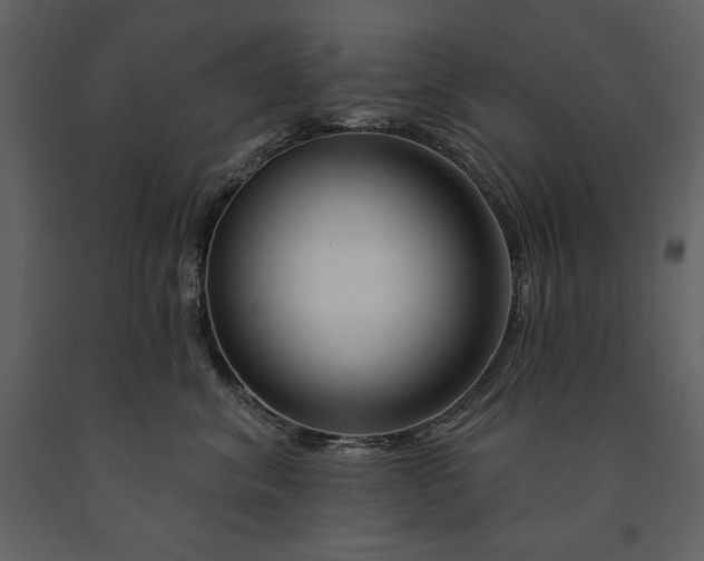 X0000090970620200708241317