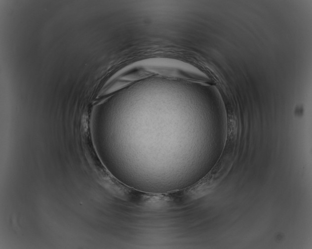 X0000090970621200708241317