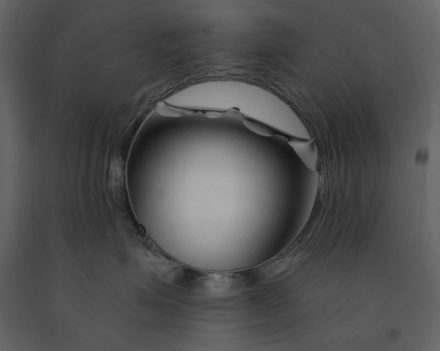 X0000090970623200708241317