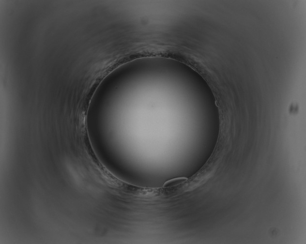 X0000090970624200708241317