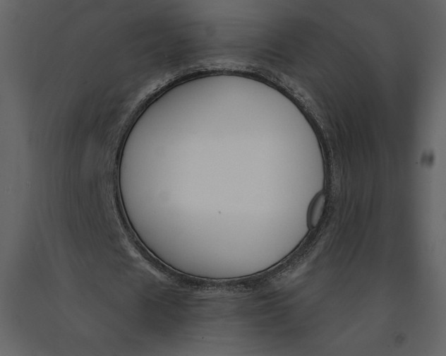 X0000090970625200708241316