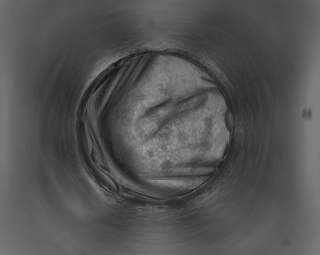 X0000090970626200708241316