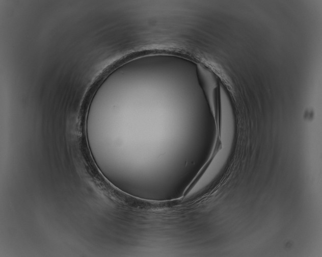 X0000090970628200708241316