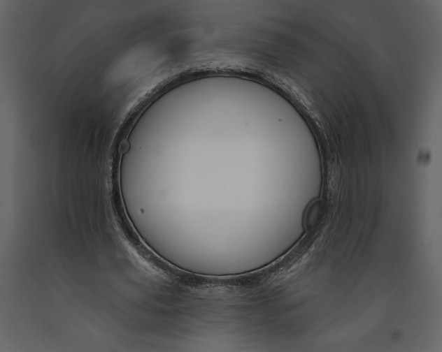 X0000090970629200708241316