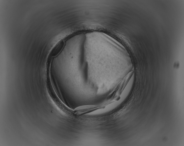 X0000090970630200708241316