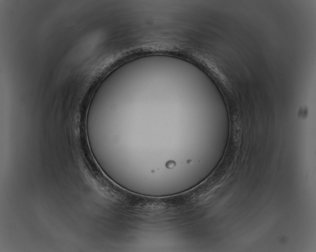 X0000090970631200708241316