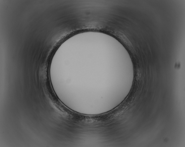 X0000090970632200708241316