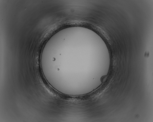 X0000090970633200708241316