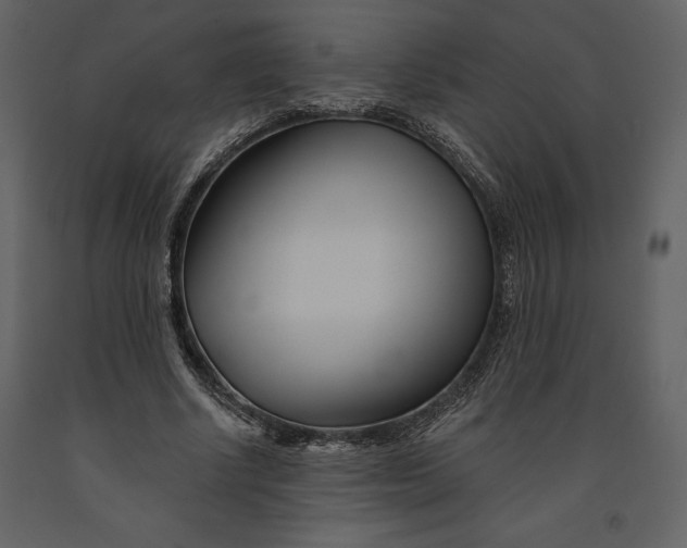 X0000090970634200708241316