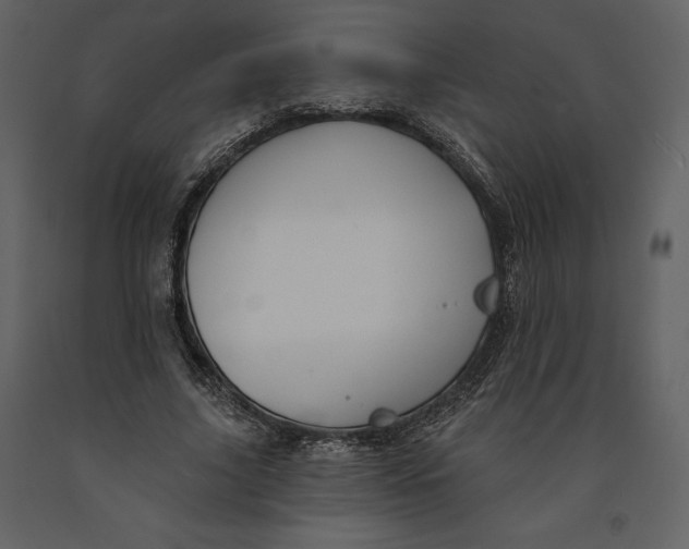 X0000090970635200708241316