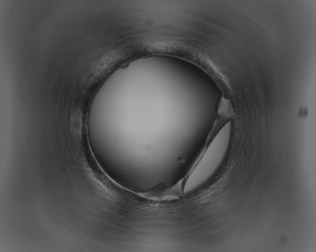 X0000090970637200708241316