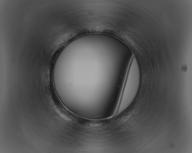 X0000090970638200708241316