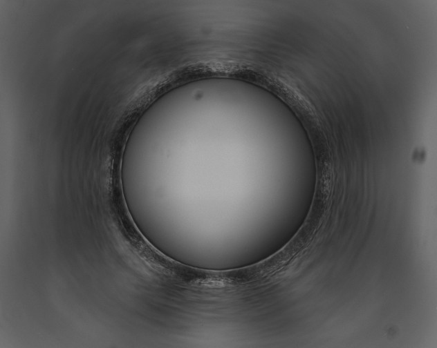 X0000090970639200708241316