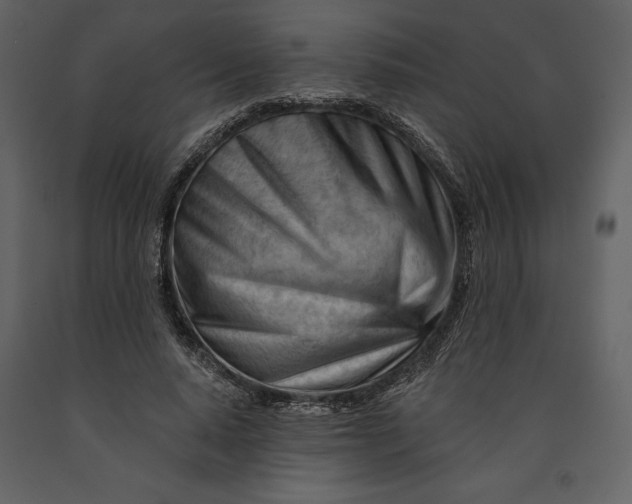 X0000090970640200708241316