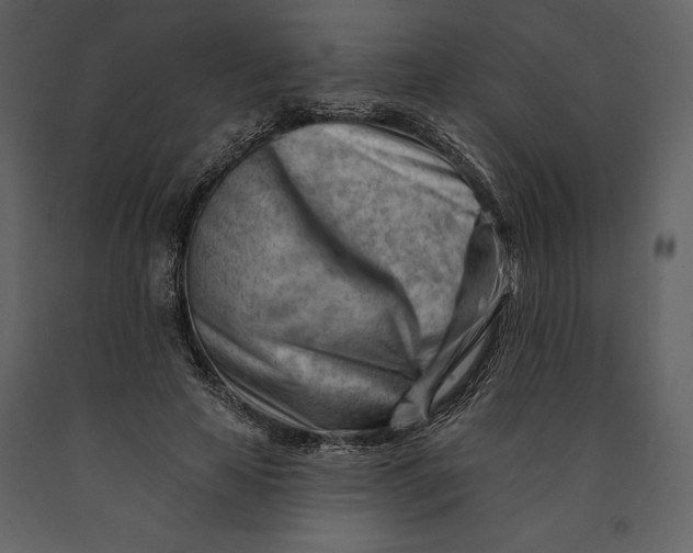 X0000090970641200708241316