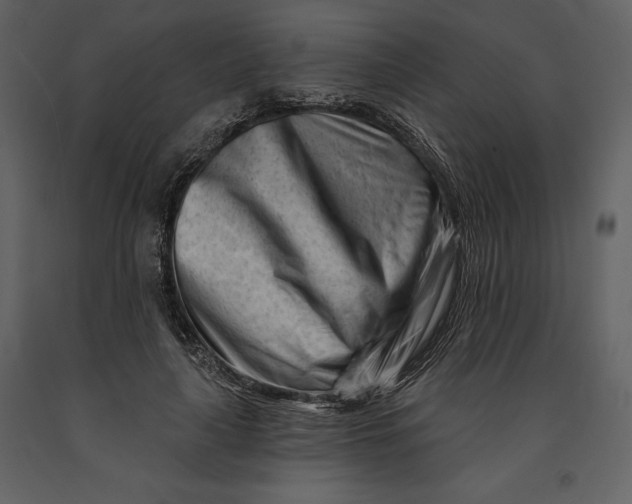 X0000090970643200708241316