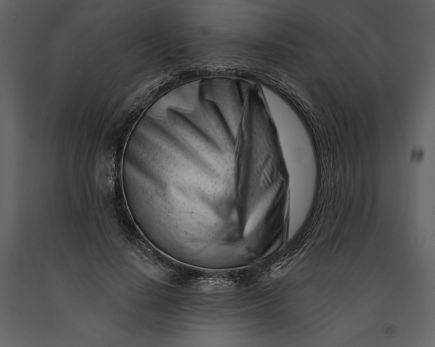 X0000090970644200708241316