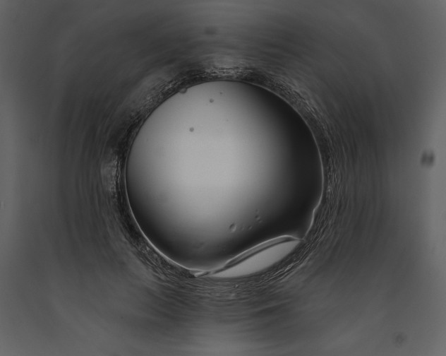 X0000090970647200708241316