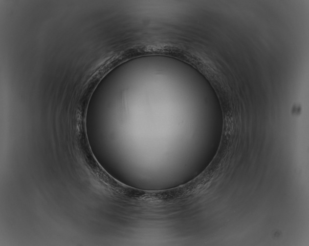 X0000090970648200708241316