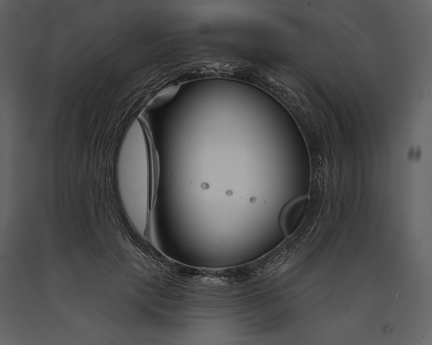 X0000090970649200708241316