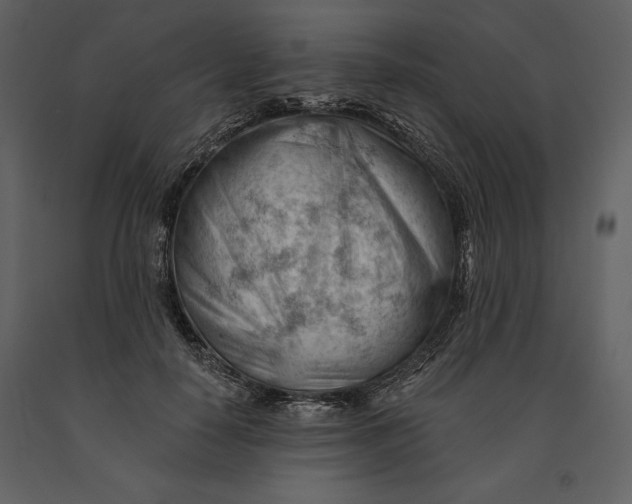 X0000090970650200708241317